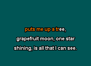 puts me up a tree,

grapefruit moon. one star

shining, is all that I can see.