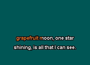 grapefruit moon. one star

shining, is all that I can see.