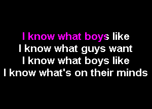 I know what boys like
I know what guys want

I know what boys like
I know what's on their minds