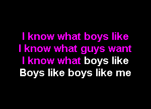 I know what boys like
I know what guys want

I know what boys like
Boys like boys like me
