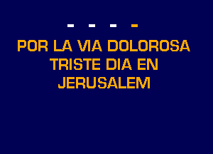 POR LA VIA DOLOROSA
TRISTE DIA EN

JERUSALEM