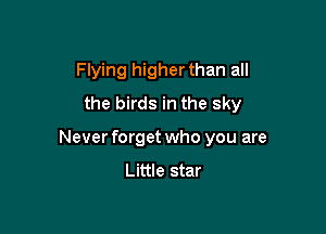 Flying higher than all
the birds in the sky

Never forget who you are
Little star