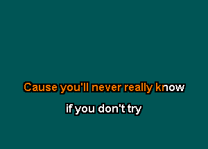 Cause you'll never really know

ifyou don'ttry