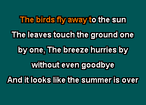 The birds fly away to the sun
The leaves touch the ground one
by one, The breeze hurries by
without even goodbye

And it looks like the summer is over