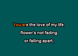 You are the love of my life.

flower's not fading

or falling apart,