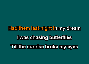 Had them last night in my dream

lwas chasing butterflies

Till the sunrise broke my eyes