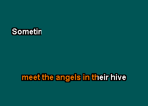 meet the angels in their hive