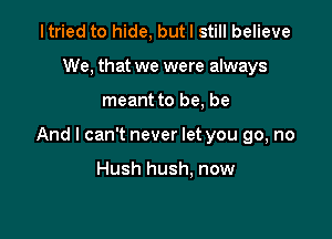 Itried to hide, but I still believe
We, that we were always

meant to be, be

And I can't never let you go, no

Hush hush. now
