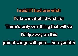 I said ifl had one wish
I'd know what I'd wish for
There's only one thing that will do
I'd fly away on this

pair of wings with you.... huu yeahhh