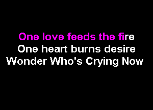 One love feeds the fire
One heart burns desire

Wonder Who's Crying Now