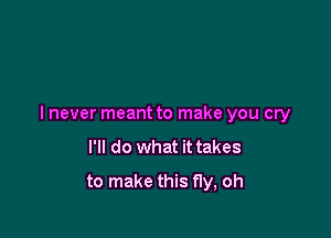 I never meant to make you cry

I'll do what it takes
to make this fly, oh