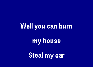 Well you can burn

my house

Steal my car