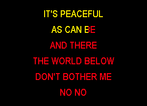 IT'S PEACEFUL
AS CAN BE
AND THERE

THE WORLD BELOW
DON'T BOTHER ME
N0 N0