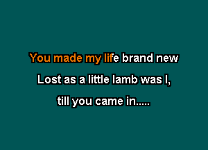 You made my life brand new

Lost as a little lamb was I,

till you came in .....