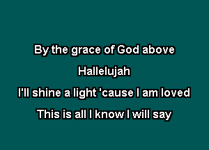 By the grace of God above
Hallelujah

I'll shine a light 'cause I am loved

This is all I know I will say