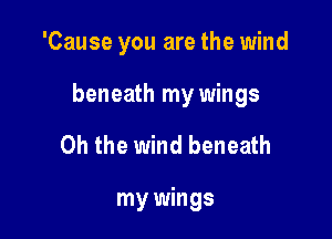 'Cause you are the wind

beneath my wings

Oh the wind beneath

my wings