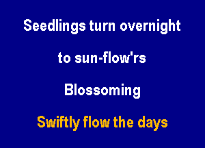 Seedlings turn overnight
to sun-flow'rs

Blossoming

Swiftly flow the days