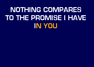 NOTHING COMPARES
TO THE PROMISE I HAVE
IN YOU