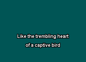 Like the trembling heart

of a captive bird