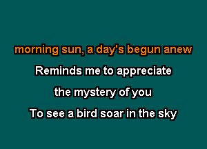 morning sun, a day's begun anew
Reminds me to appreciate

the mystery of you

To see a bird soar in the sky