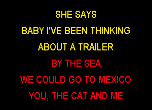 SHE SAYS
BABY I'VE BEEN THINKING
ABOUT A TRAILER
BY THE SEA
WE COULD GO TO MEXICO
YOU, THE CAT AND ME