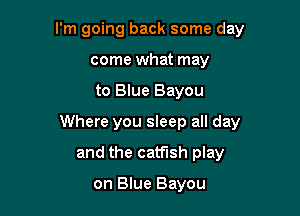 I'm going back some day
come what may

to Blue Bayou

Where you sleep all day

and the catfish play

on Blue Bayou