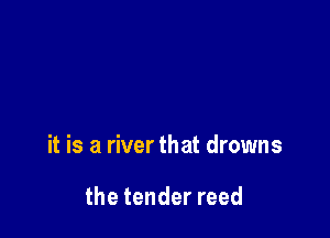 it is a river that drowns

the tender reed