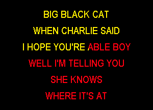 BIG BLACK CAT
WHEN CHARLIE SAID
I HOPE YOU'RE ABLE BOY

WELL I'M TELLING YOU
SHE KNOWS
WHERE IT'S AT