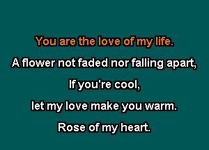 You are the love of my life.
A flower not faded nor falling apart,

lfyou're cool,

let my love make you warm.

Rose of my heart.