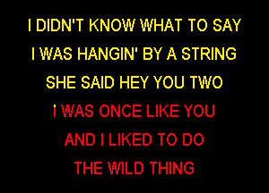I DIDN'T KNOW WHAT TO SAY
I WAS HANGIN' BY A STRING
SHE SAID HEY YOU TWO

IWAS ONCE LIKE YOU
AND I LIKED TO DO
THE WILD THING