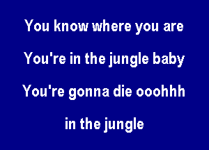 You know where you are
You're in the jungle baby

You're gonna die ooohhh

in thejungle