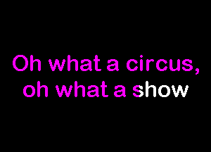 Oh what a circus,

oh what a show