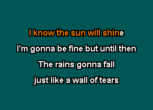 I know the sun will shine

I'm gonna be fine but until then

The rains gonna fall

just like a wall of tears