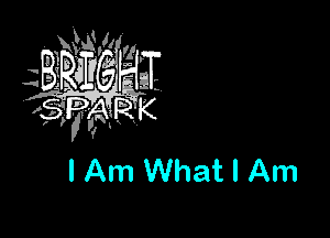 I Am What I Am