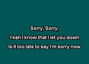 Sorry, Sorry,

Yeah I know that I let you down

Is it too late to say I'm sorry now