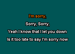 I'm sorry,
Sorry, Sorry,

Yeah I know that I let you down

Is it too late to say I'm sorry now