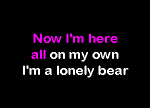 Now I'm here

all on my own
I'm a lonely bear