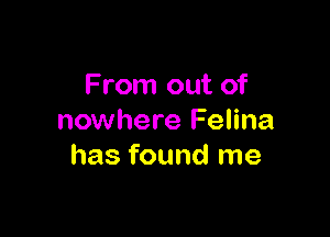 From out of

nowhere Felina
has found me