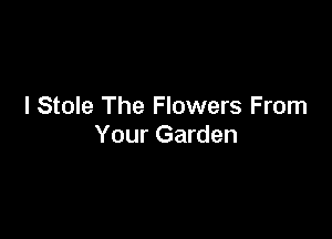 I Stole The Flowers From

Your Garden