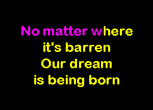 No matter where
it's barren

Our d ream
is being born