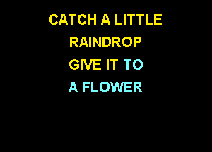CATCH A LITTLE
RAINDROP
GIVE IT TO

A FLOWER
