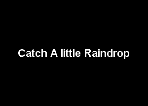 Catch A little Raindrop