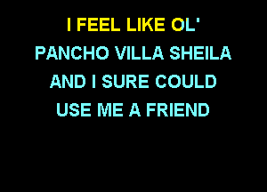 I FEEL LIKE OL'
PANCHO VILLA SHEILA
AND I SURE COULD
USE ME A FRIEND