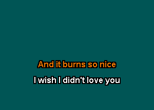 And it burns so nice

lwish I didn't love you