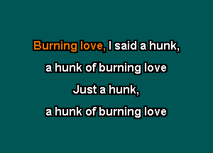 Burning love, I said a hunk,
a hunk of burning love

Just a hunk,

a hunk of burning love