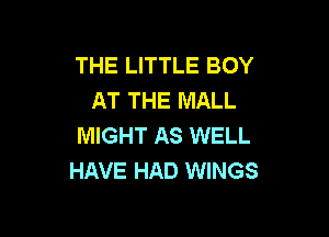 THE LITTLE BOY
AT THE MALL

MIGHT AS WELL
HAVE HAD WINGS
