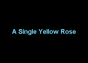 A Single Yellow Rose