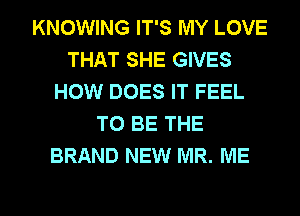 KNOWING IT'S MY LOVE
THAT SHE GIVES
HOW DOES IT FEEL
TO BE THE
BRAND NEW MR. ME