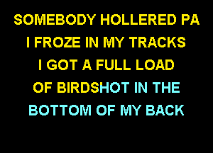 SOMEBODY HOLLERED PA
I FROZE IN MY TRACKS
I GOT A FULL LOAD
0F BIRDSHOT IN THE
BOTTOM OF MY BACK