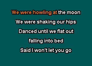 We were howling at the moon
We were shaking our hips
Danced until we flat out

falling into bed

Said I won't let you go